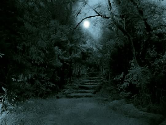 http://prinsesamusang.files.wordpress.com/2012/09/full-moon-in-a-dark-forest.jpg